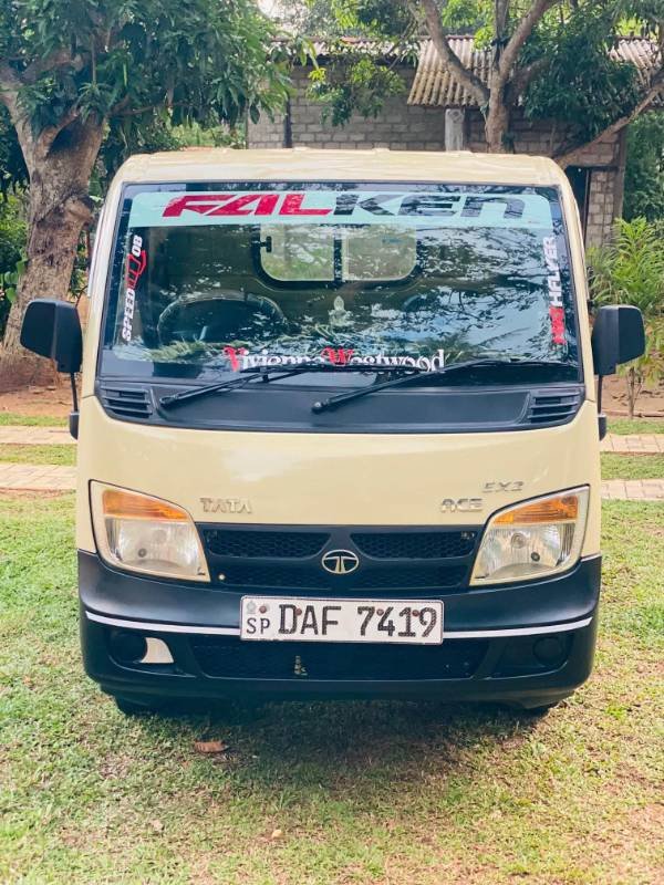 Dimo Batta for sale