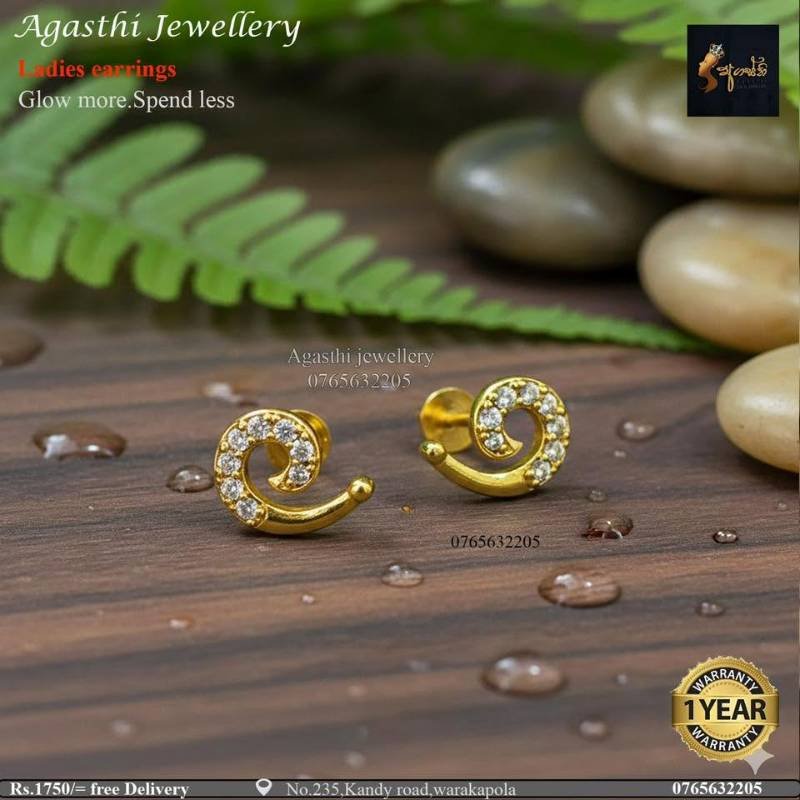 Ladies earrings Rs.1750/= Free delivery 🚚