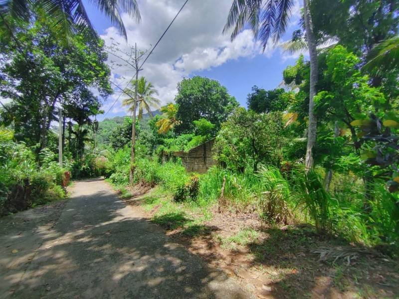Land for sale