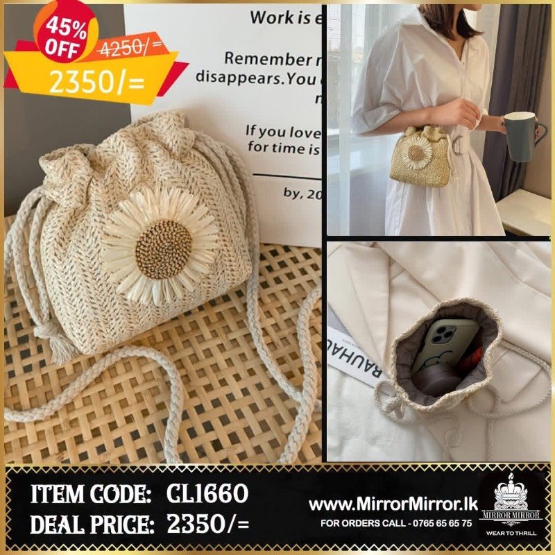 Ladies hand bag