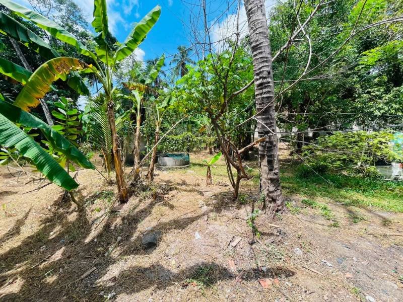 Land for sale