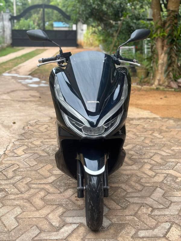 Pcx for sale