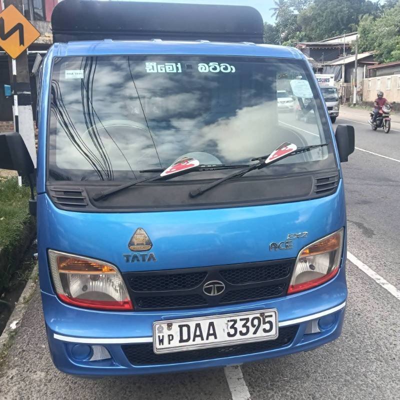 Dimo Batta for sale