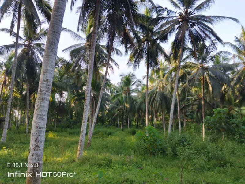 Land for sale