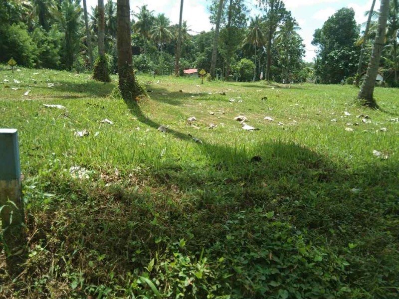 ඉක්මනින් ඉඩමක් විකිනීමට