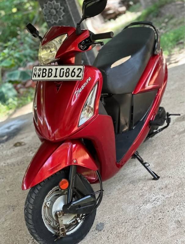 Pleasure 2014 BB number