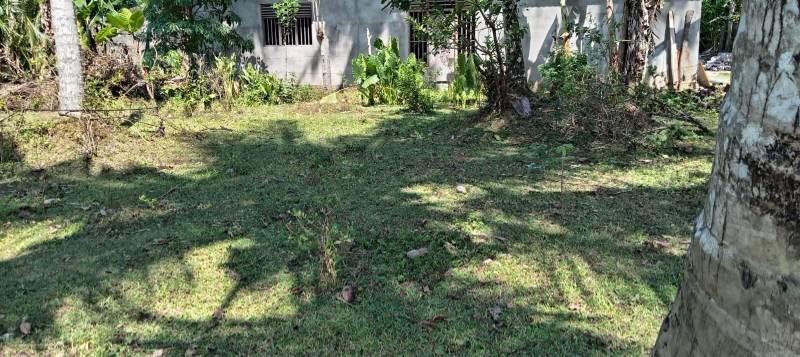 Land for sale