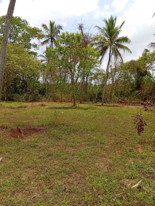 Land for sale