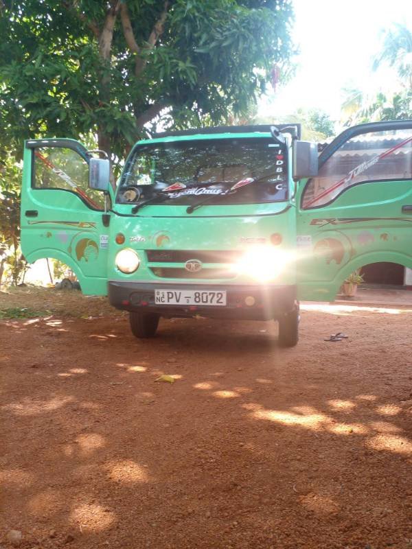 Dimo Batta for sale
