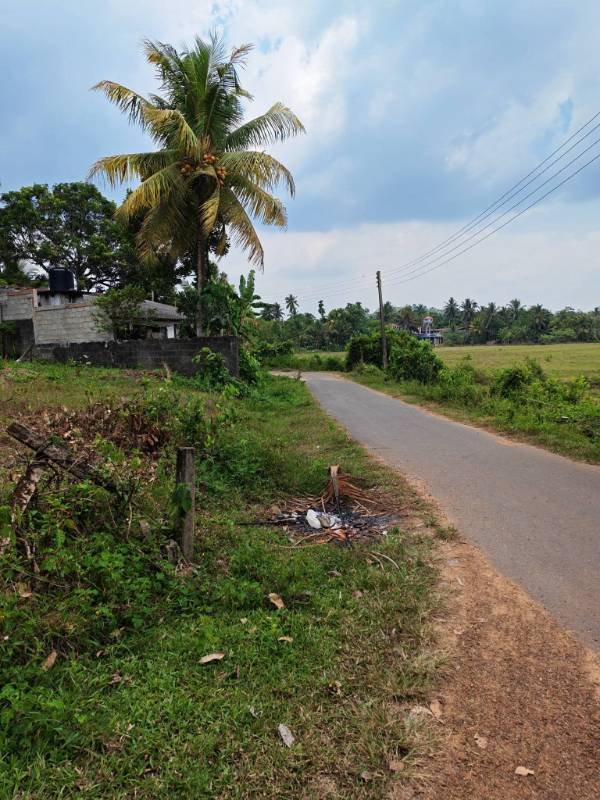 Land for sale