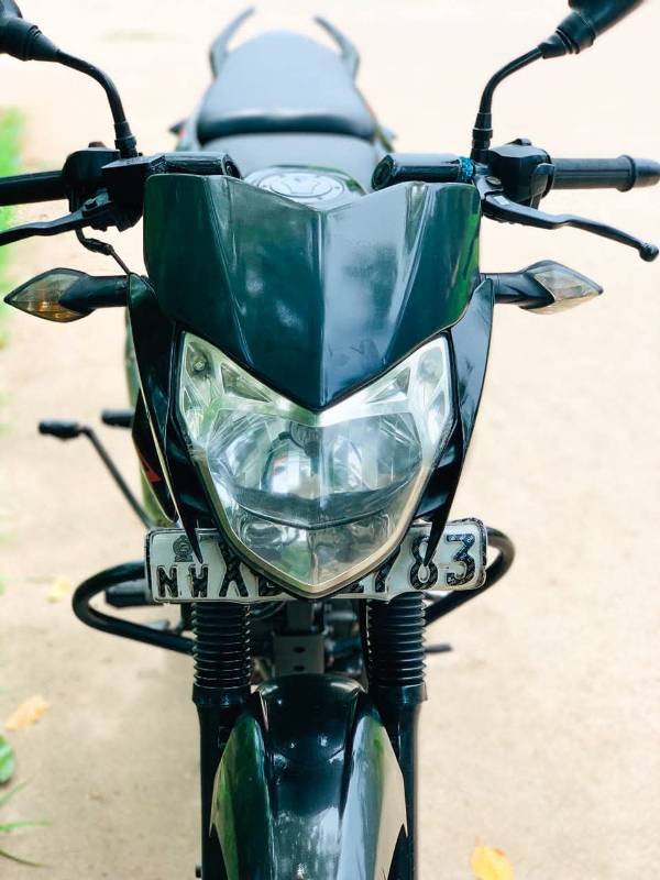Pulser 135