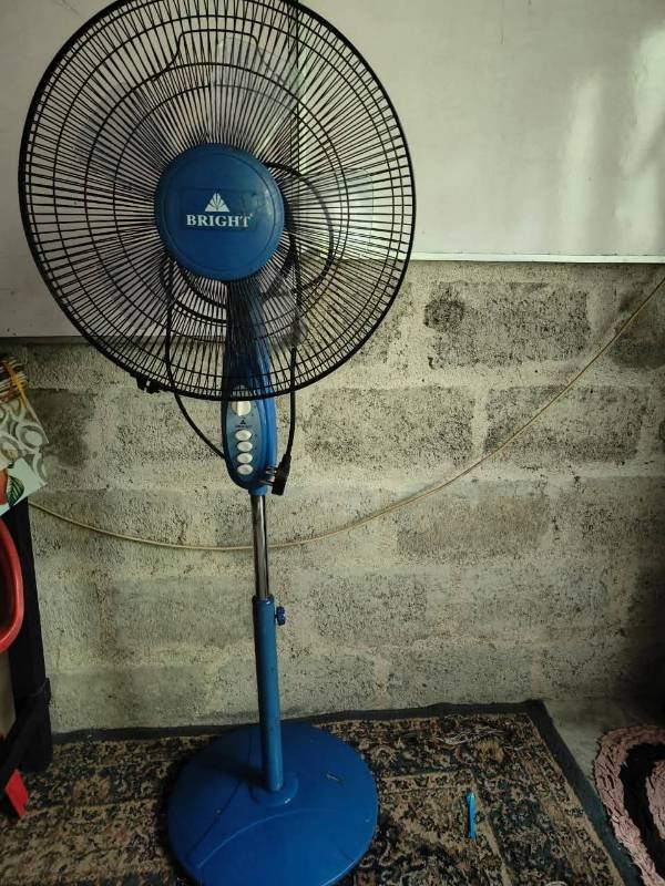Fan