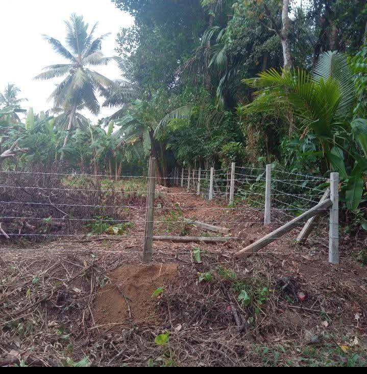 Land for sale