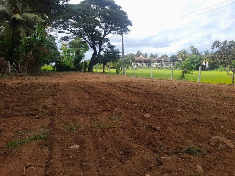 Land for sale