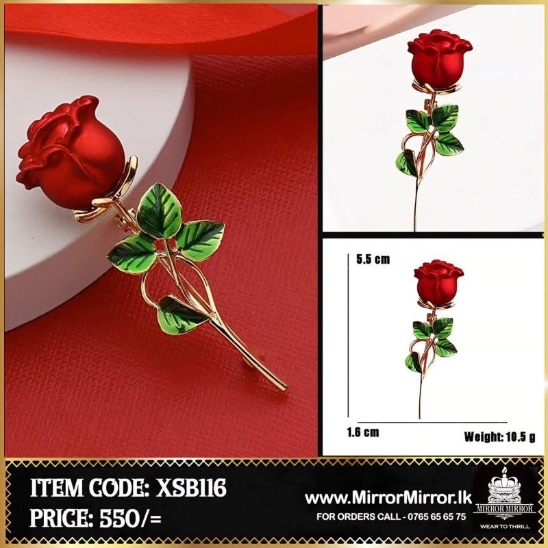 Saree brochure