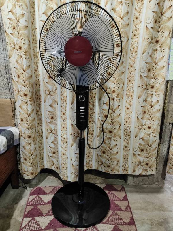 Fan