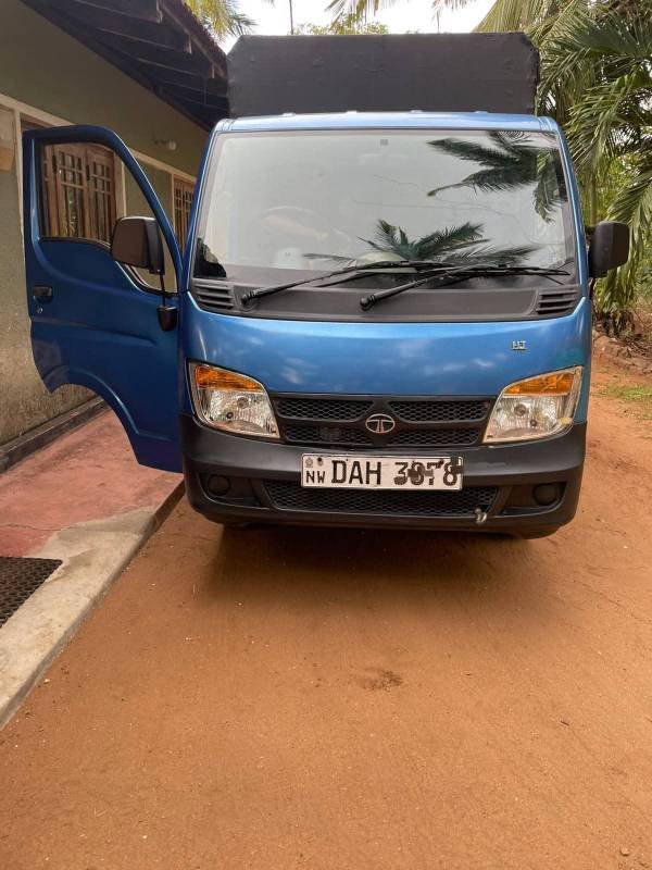 Dimo Batta for sale