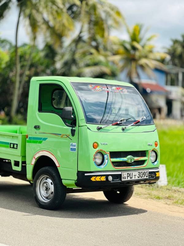 Dimo batta for sale