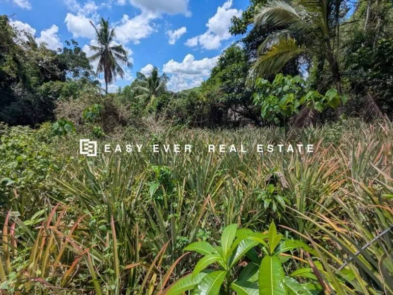 Land for sale