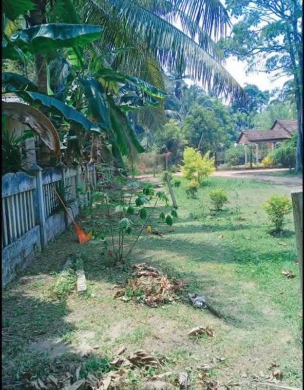 Land for sale