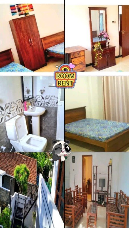 Room for rent