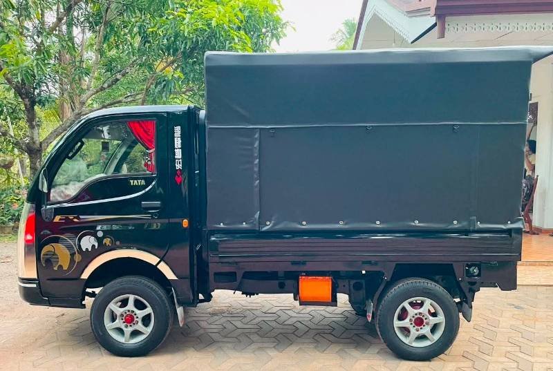Dimo Batta for sale