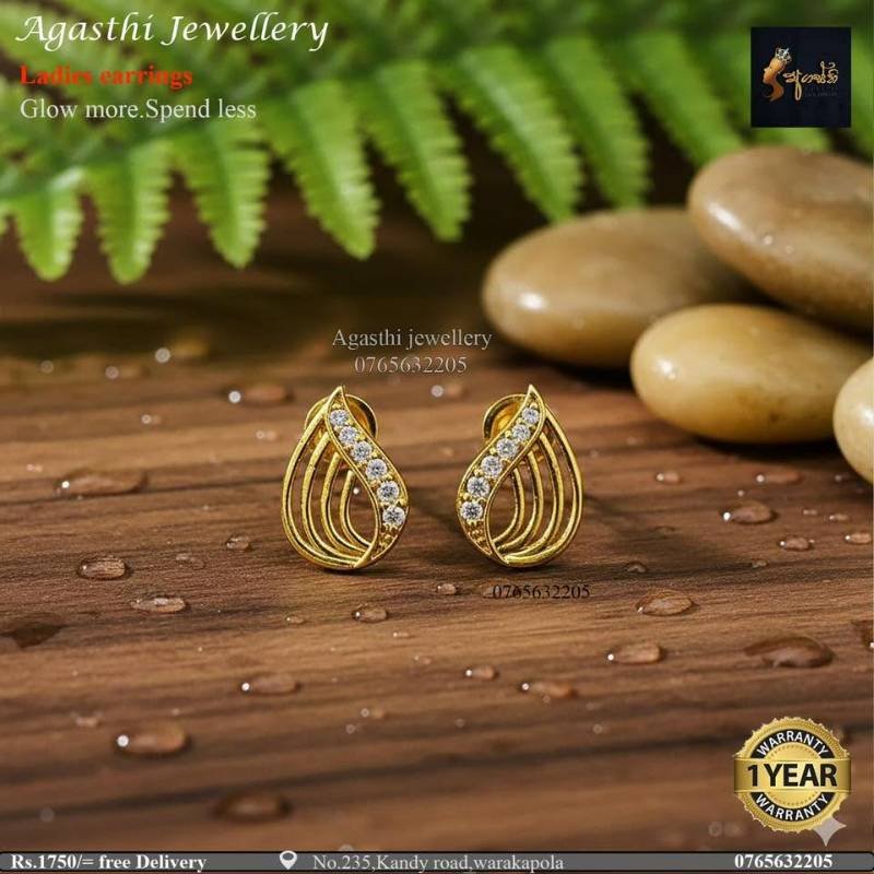 Ladies earrings Rs.1750/= Free delivery 🚚