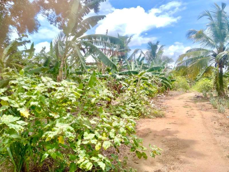 Land for sale