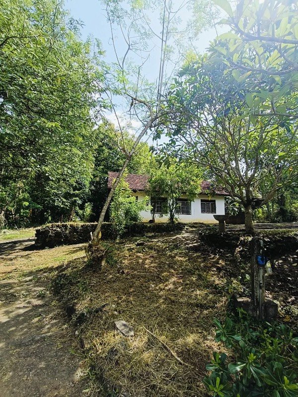 Hauses for sale