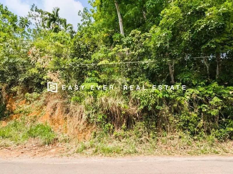 Land for sale
