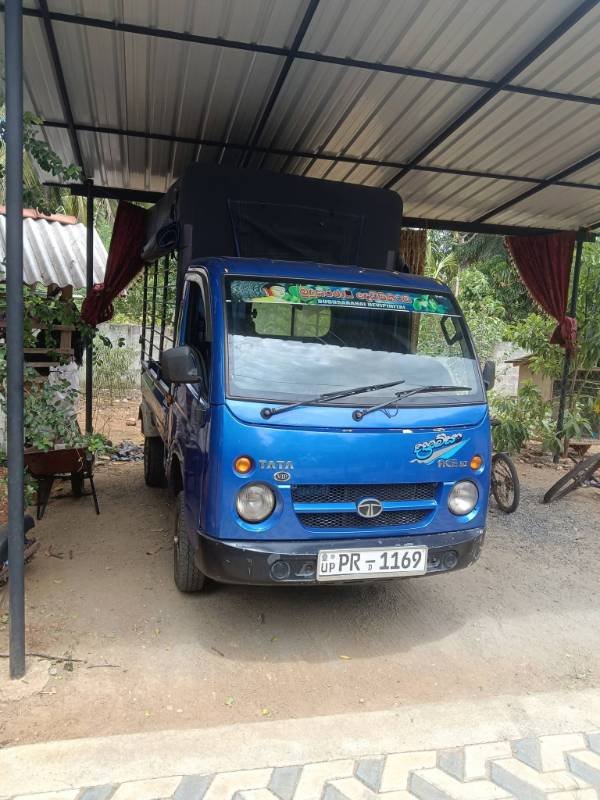 Dimo Batta for sale