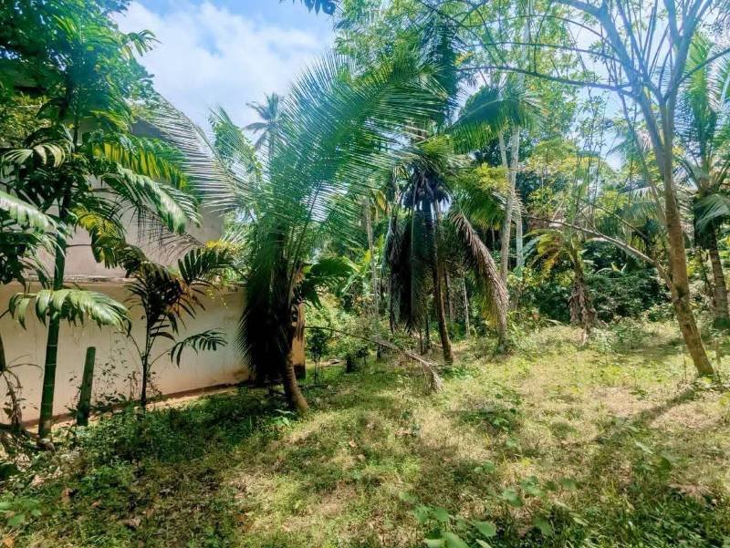 Land for sale