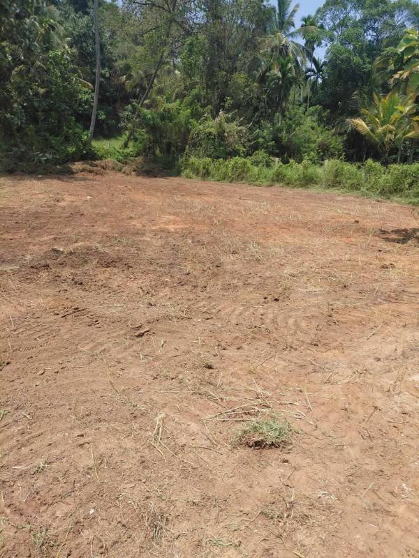 Land for sale