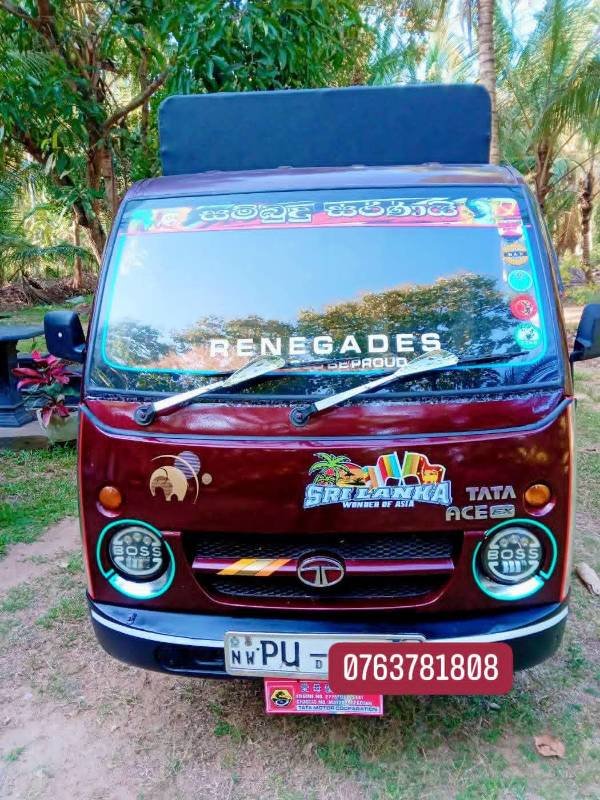 Dimo Batta for sale