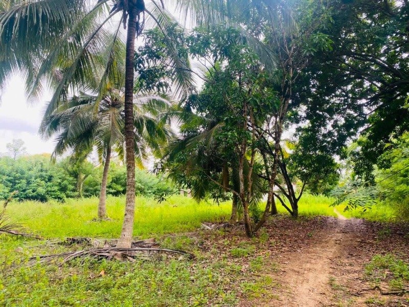 Land for sale