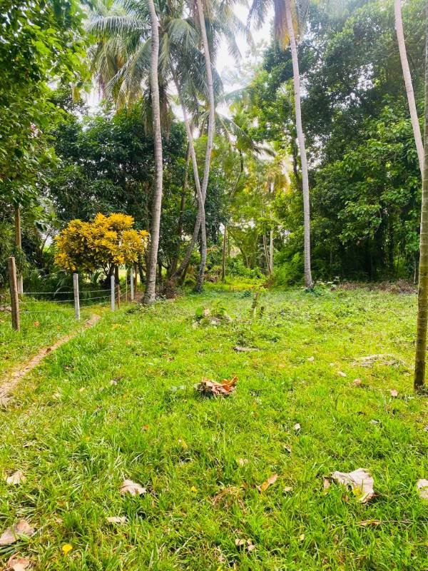 Land for sale
