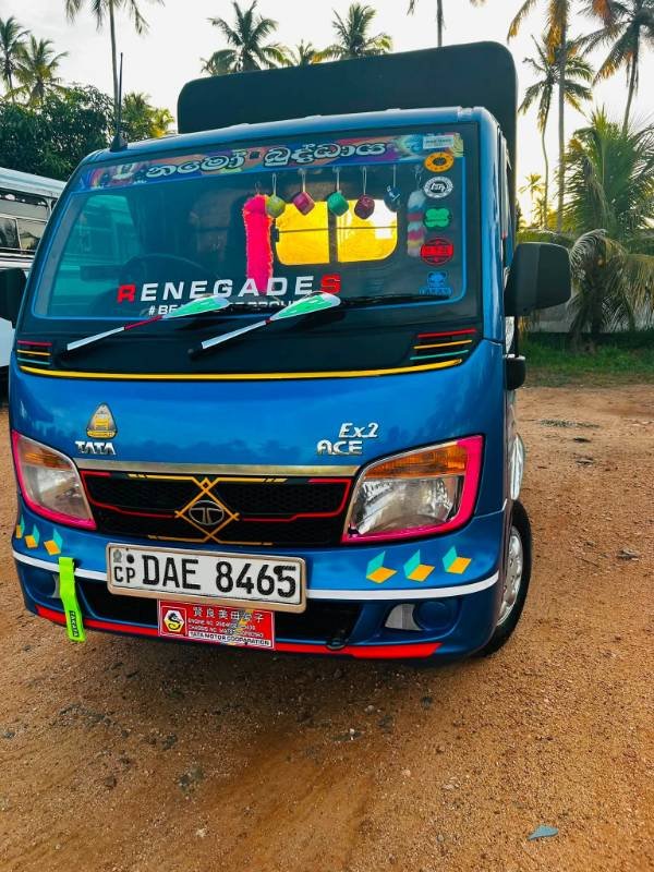 Dimo Batta for sale
