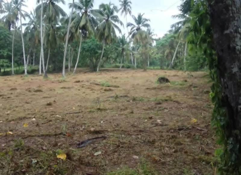 Land for sale