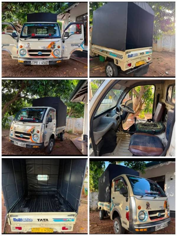 Dimo batta for sale