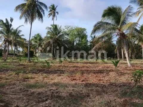 Land for sale