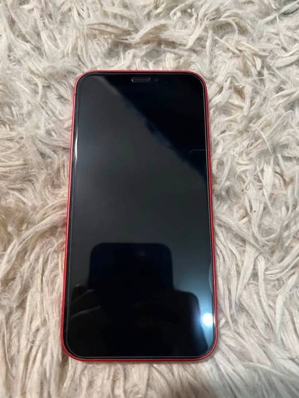 Apple 12 mini