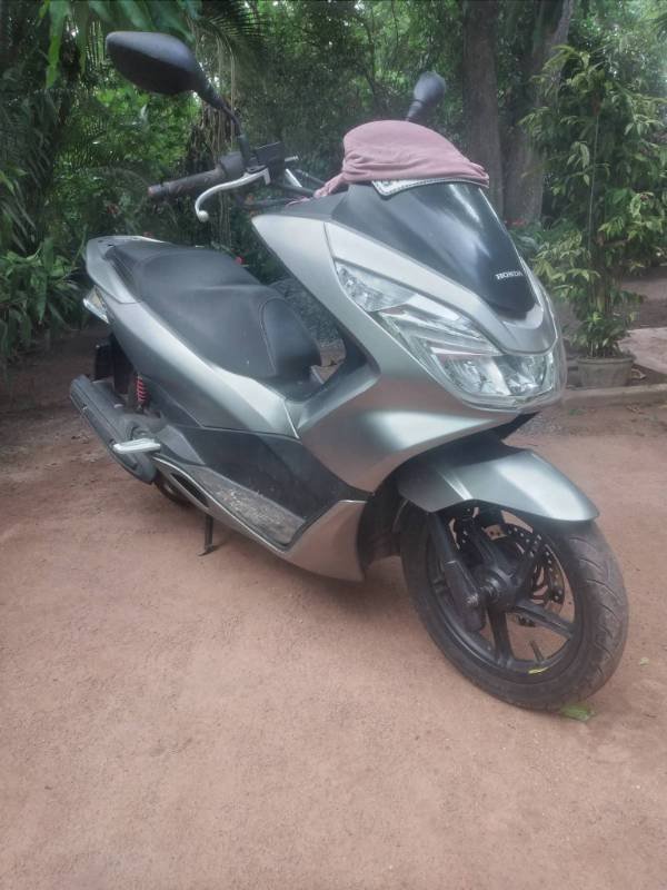 Honda PCX for sale