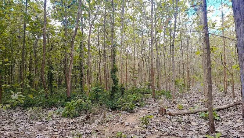 Land for sale
