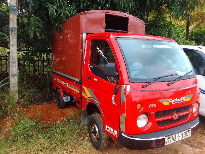 Dimo Batta for sale