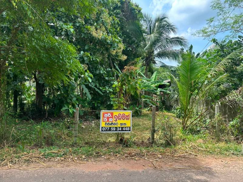 Land for sale