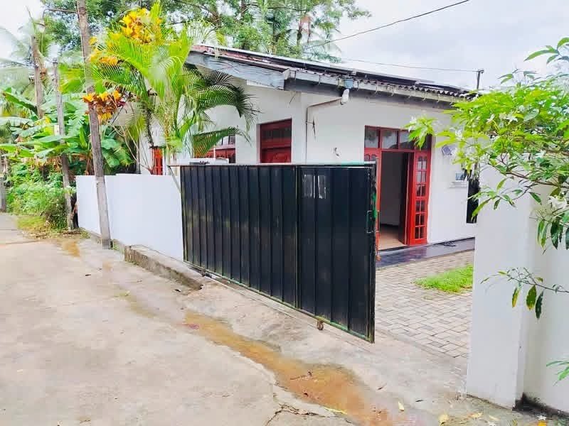 Room for rent