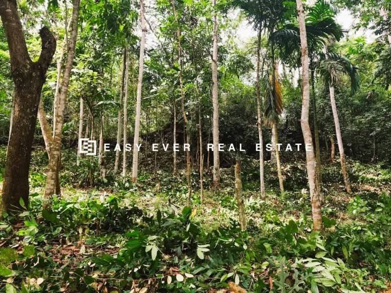 Land for sale