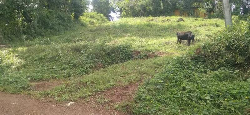 Land for sale