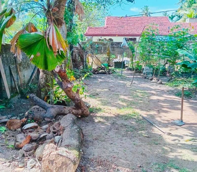 Land for sale