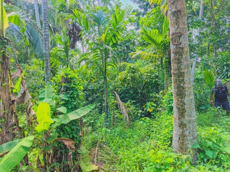 Land for sale